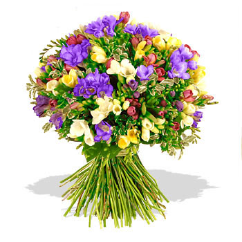 100_freesias_bouquet.jpg