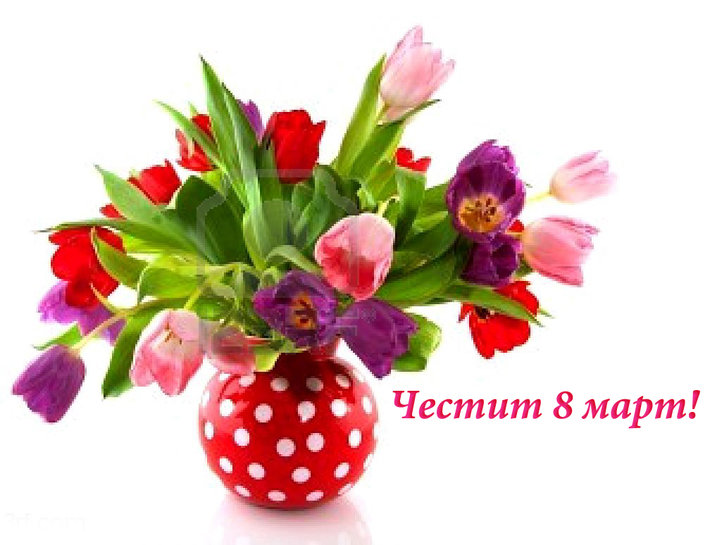 6170928-colorful-tulips-in-red-speckles-vase-isolated-over-white.jpg
