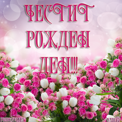 chestit-rojden-den-s-buket-ot-rozi.png