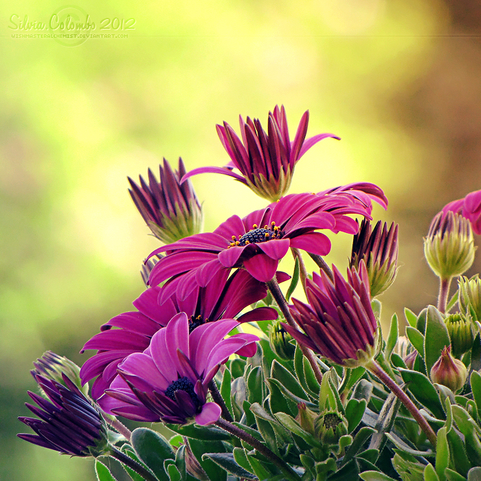 0_b096e_e7791c62_XL.jpg