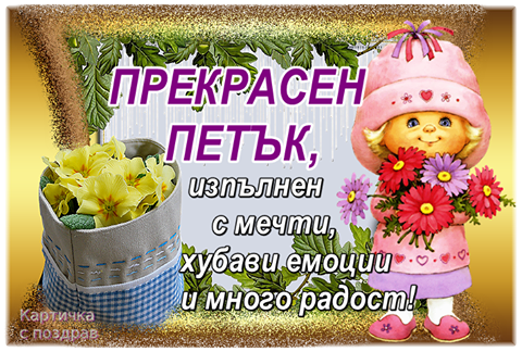 16640881_1796130234044984_778104503622325578_n.png