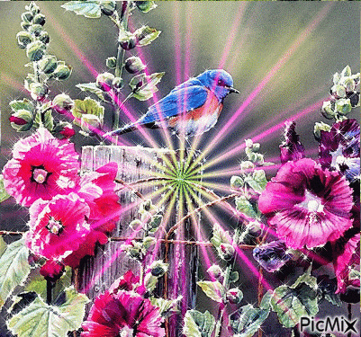 2892195_a5261.gif