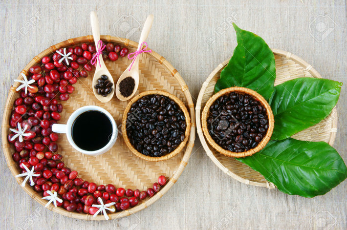 34350307-Recoge-de-caf-bayas-rojas-maduras-frijol-caf-tostado-taza-de-caf-negro-verde-hoja-flor-blanca-en-la--Foto-de-archivo.jpg