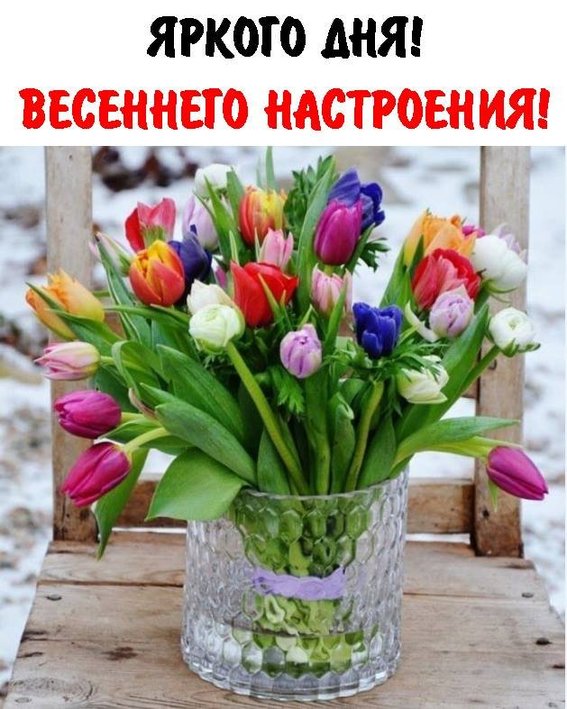 52999934_1885626964870659_1847319653676744704_n.jpg (94.09 KиБ) Видяна 3206 пъти 52999934_1885626964870659_1847319653676744704_n.jpg