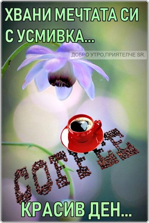 60345233_436904663703110_1851061987530768384_n.jpg (106.2 KиБ) Видяна 3489 пъти 60345233_436904663703110_1851061987530768384_n.jpg