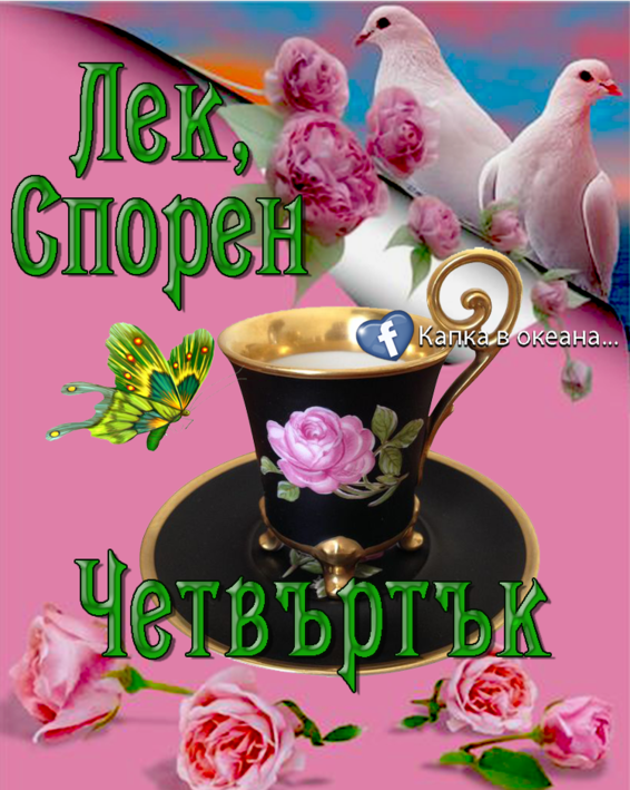 68932020_1927304044038978_7573545609492168704_n.png (929.48 KиБ) Видяна 4565 пъти 68932020_1927304044038978_7573545609492168704_n.png