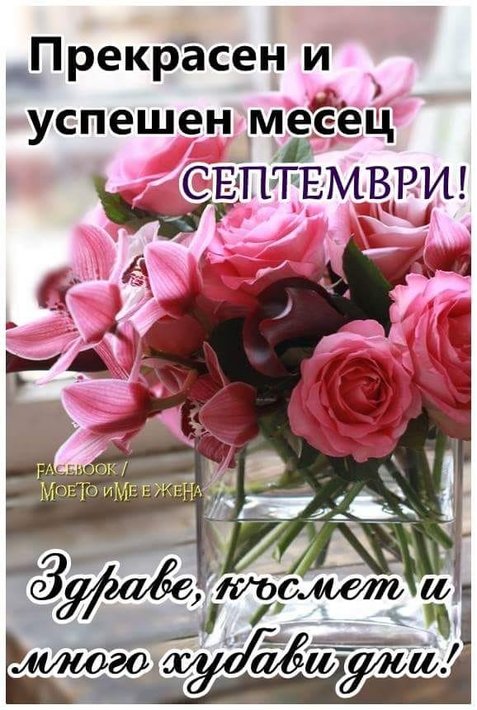 69264662_2514507868592905_3755688346160988160_n.jpg (89.91 KиБ) Видяна 4978 пъти 69264662_2514507868592905_3755688346160988160_n.jpg