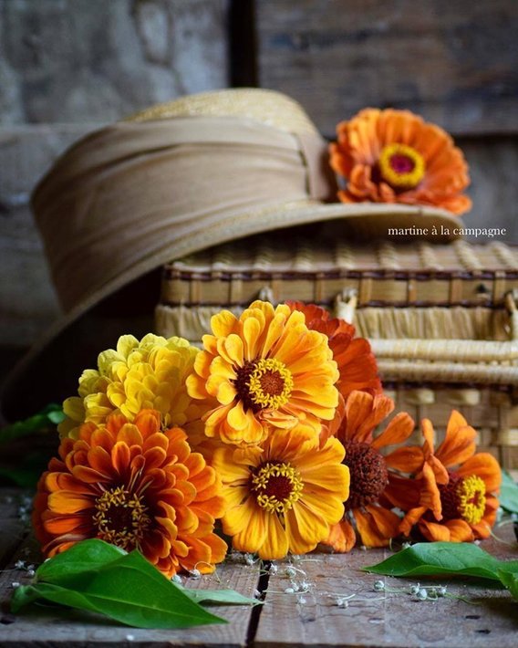 67915428_2655850264438757_7087179316710080512_n.jpg (130.49 KиБ) Видяна 4569 пъти 67915428_2655850264438757_7087179316710080512_n.jpg