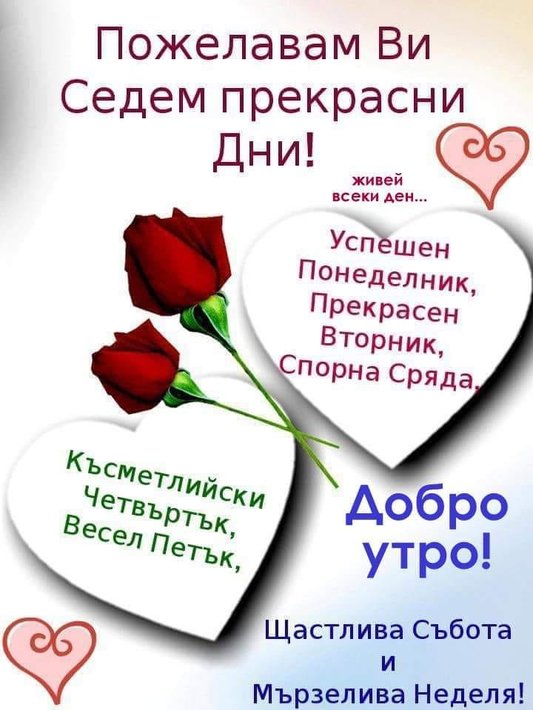 72730931_1343941599112872_5974963081183232000_n.jpg (68.43 KиБ) Видяна 4854 пъти 72730931_1343941599112872_5974963081183232000_n.jpg