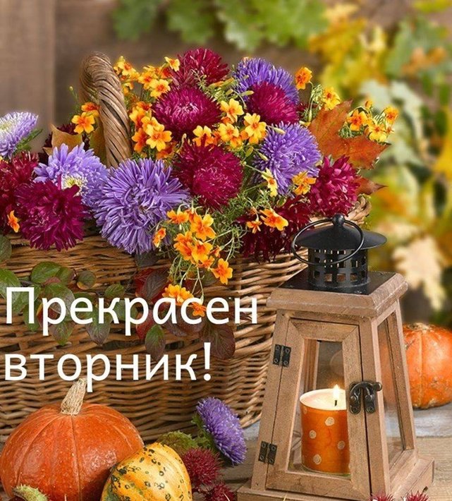 73472776_545355739362330_2835511475806666752_n.jpg (171.9 KиБ) Видяна 4834 пъти 73472776_545355739362330_2835511475806666752_n.jpg