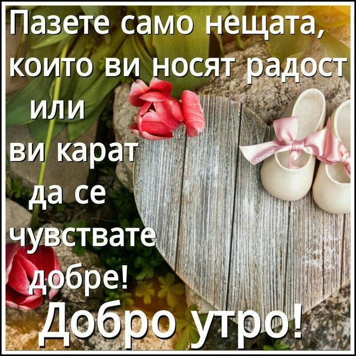 82382014_1774492459353036_7281455848742715392_n.jpg (153.74 KиБ) Видяна 5450 пъти 82382014_1774492459353036_7281455848742715392_n.jpg