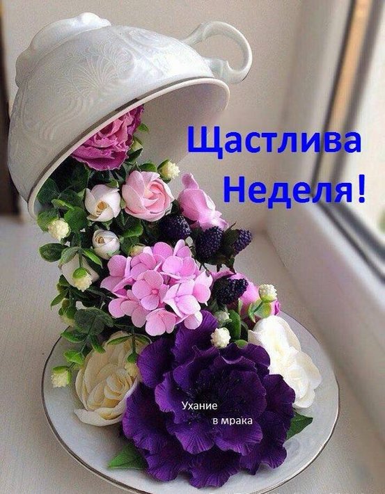 91371294_2823595687716487_2444212944091742208_n.jpg (90.32 KиБ) Видяна 4801 пъти 91371294_2823595687716487_2444212944091742208_n.jpg
