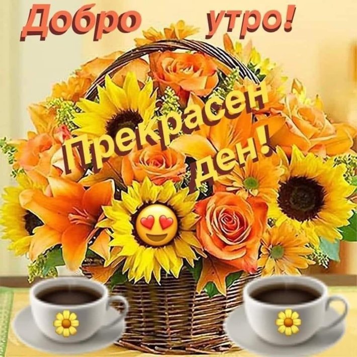 122151355_2038068166330495_7494205153519817848_n.jpg (128.83 KиБ) Видяна 50618 пъти 122151355_2038068166330495_7494205153519817848_n.jpg