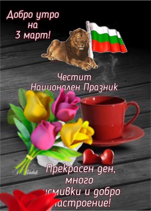 156161244_3591009527693307_5896015344752690963_o.jpg (103.05 KиБ) Видяна 4339 пъти 156161244_3591009527693307_5896015344752690963_o.jpg