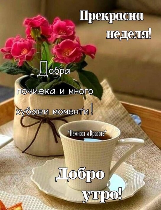 243158173_4313133755435448_3694548370374005835_n.jpg (98.99 KиБ) Видяна 3853 пъти 243158173_4313133755435448_3694548370374005835_n.jpg