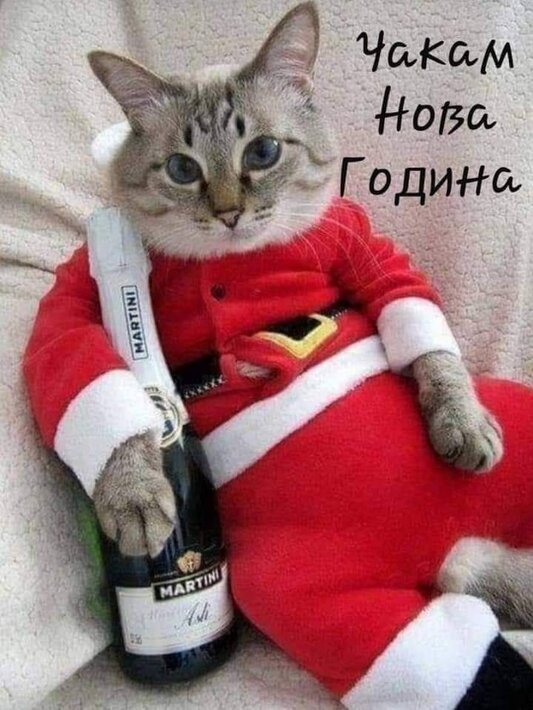 viber_изображение_2021-12-30_18-08-51-175.jpg