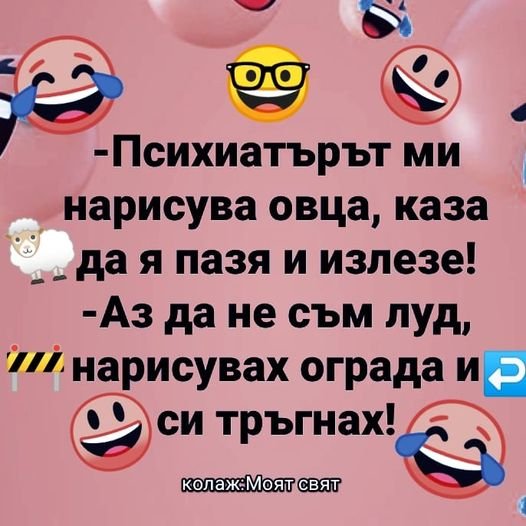 306193110_625060695656211_238825426674154909_n.jpg
