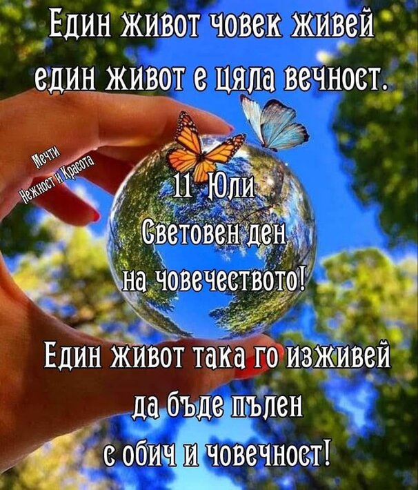 359314850_1000732857594563_1792219458602204732_n.jpg
