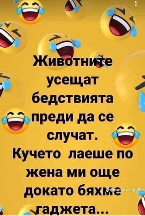 0-02-05-959e3f3d23b0aefb7cace038f250ed155f5a4e907fd3545d570ec34f4a168c20_39e5baaaa50ad73c.jpg