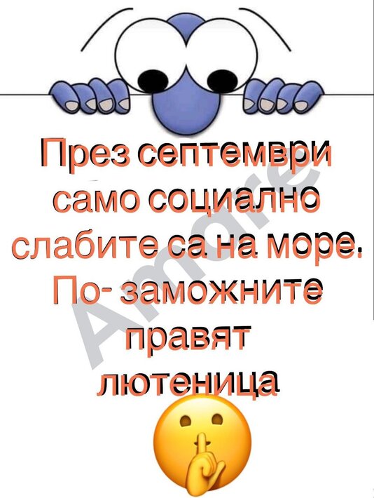 373539195_686569136845358_5816992442156868173_n.jpg