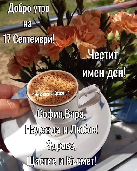 379996325_780954593885483_17982768814388076_n.jpg