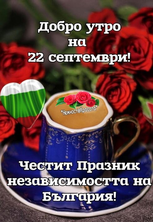 380917931_784346266879649_8364758172624260517_n.jpg