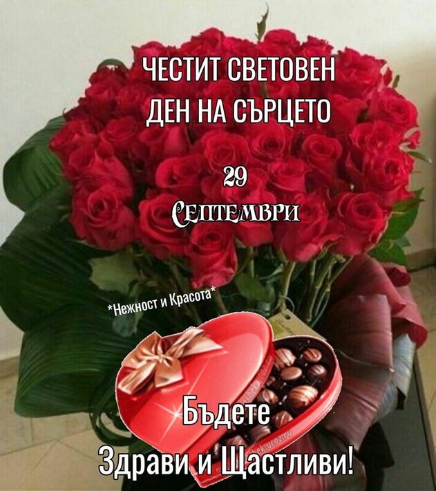 0-02-05-39506b891fecd88c1b54581620bf3f36743b34adde18ba9bedfd4c04766026ad_8c6d2ba79cf26fb3.jpg