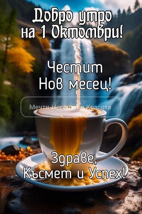 384775553_789812659666343_2028896032270185857_n.jpg