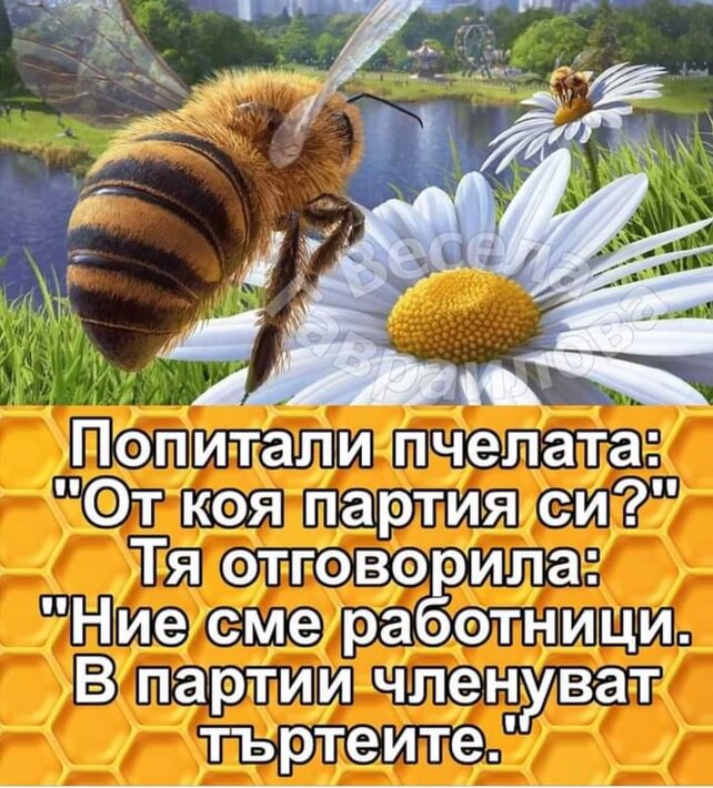 0-02-05-315c703ac60b57889c70064d3f45f7def53465ccbbca1e881a482497b11b88ac_97a22b8430d5026b.jpg