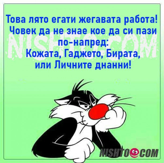 0-02-05-b30b36b3239462bc48690154c9874cde996e61a0db158ad3035ac8cdfa0b6eb1_75f431bdd1b9a355.jpg
