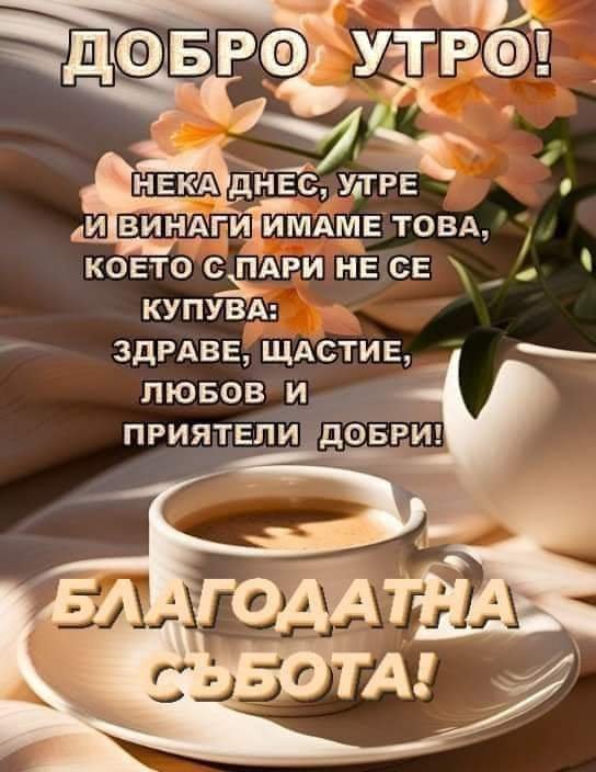 0-02-05-55de289619c81eea945e0091cbffcd7979c5eaa893dfca2aabcbed1c309e96d8_16c3b9c92eb5ec7d.jpg