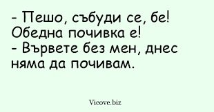 0-02-05-49a4496293963993e231d37b0b46d19bbe957924641e5485ccff2f16ac1d79fc_683dd0ee2eaf968c.jpg