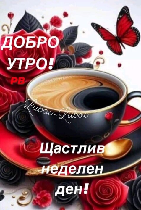 0-02-05-4f5fed62b8c3d0ece49c17d869ac5ea0ff6dba575d81619d408111902c9f2f23_5b273af5c743615b.jpg