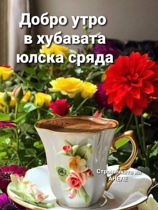 0-02-05-9d22dd193e635ae8be2ffc5d1887f7a953156b93711d2c2df643fddfde9c9e2d_38ea9f19d836a03.jpg