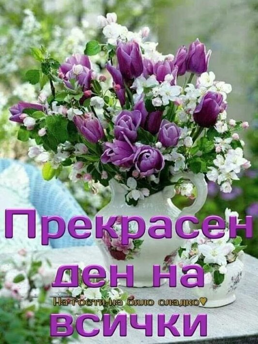 0-02-05-58af348b3c7951a2375c6faca6cf89bdd76786ea7ea4a336003ba6557fbac783_8e4a6171d305329.jpg