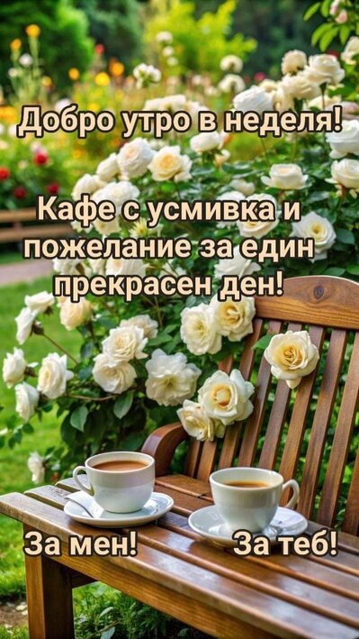0-02-05-89ab8320897721ead7635faad7f206332732264fff96572ea631a967e3f2c194_4b3f3b2f4bd09e6f.jpg