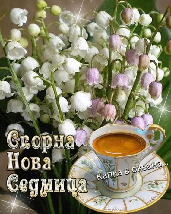0-02-05-30033fdd2525fc0c77ba88875ea6b81f1dec8c2c60c59aaa7b9c6b143c645048_bc9be0cbdebbc57a.jpg