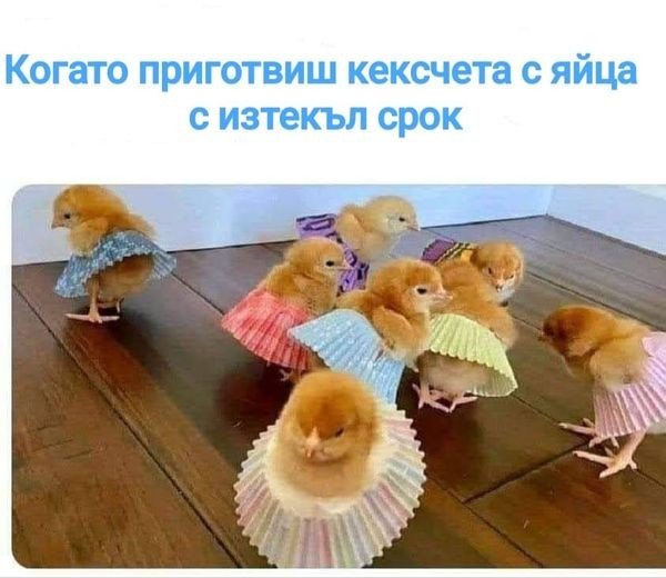 0-02-05-955eda21492c01f07d1d7fd41fe56d5987dae39f140e39178a73ff75535c4267_5d82250368e95f6a.jpg