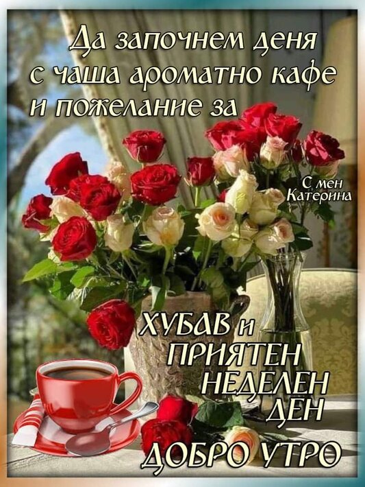 0-02-05-150cddc91ffea7869706ae931de8ab8c894d7e86d3538e5462f70d8920c32d3c_d0d74bcfd11cd86b.jpg
