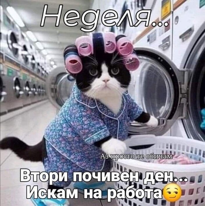 0-02-05-0520499f1e421cd8280e40d6f4bfd9204e8ffc98c26648b38cc675f4e3971f4c_2d0310272deedf64.jpg