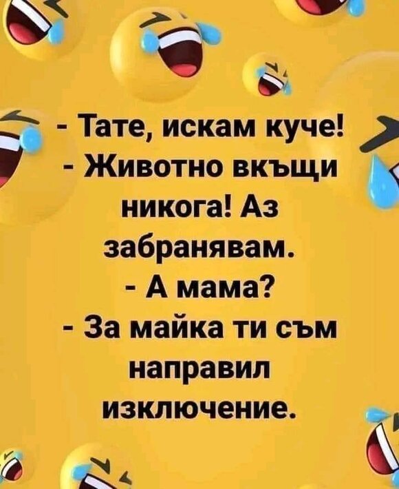 411107733_3285350821762372_1441784728305314103_n.jpg