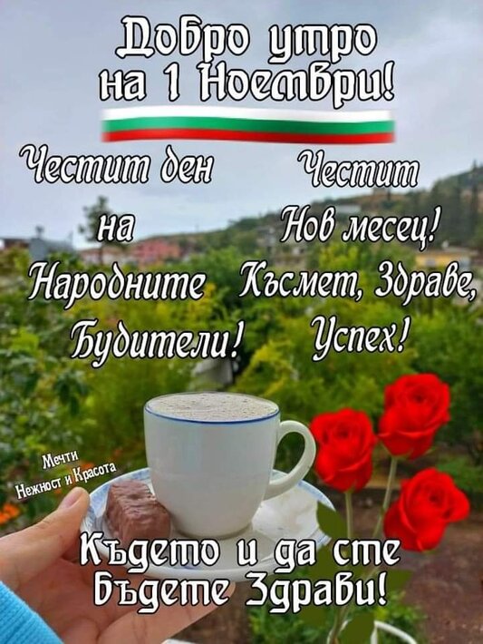 0-02-05-551240f3b6d97d39fcb89a67f2bbb9732cee127d7cec2504f12627d0680692ca_5e2afbc81f416ef8.jpg