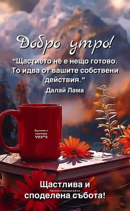 0-02-05-880f9f3054d7172e77a154e6d2e9d96fade67f18e8d8c5a03866408092b6e18b_b8ddb0a7537e1a99.jpg
