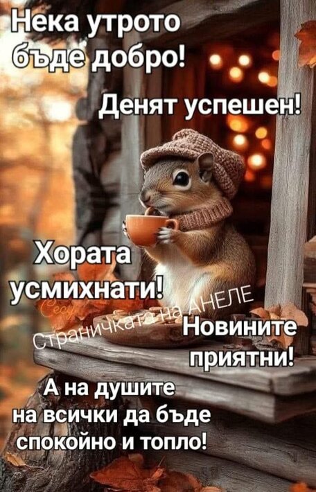0-02-05-3be4fc8e942a801b3b9e5e10861f88133a8e3494f3b106fd787fef5bee6885f3_448f0a9aea5c2611.jpg