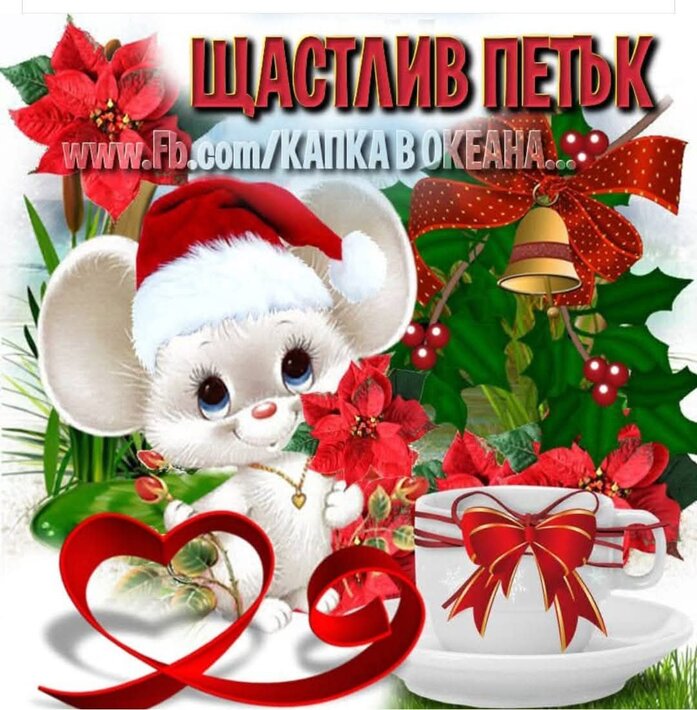 0-02-05-357017cf2ef174bca00d5020459a75e6aee952bec6dd1cbdc0fdbf96dfe67c20_e01de8541b9ca354.jpg