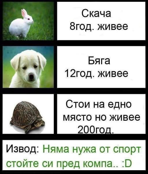 zLBGv.jpg
