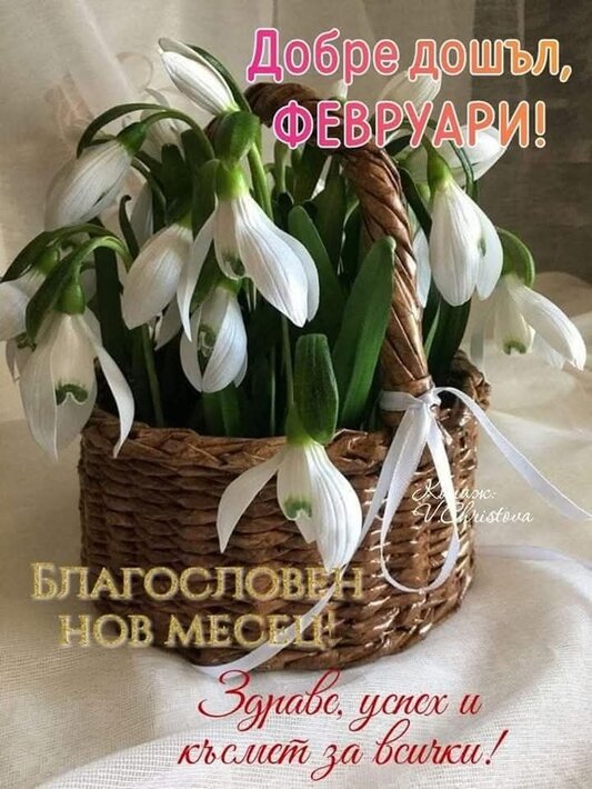 1000001717.jpg