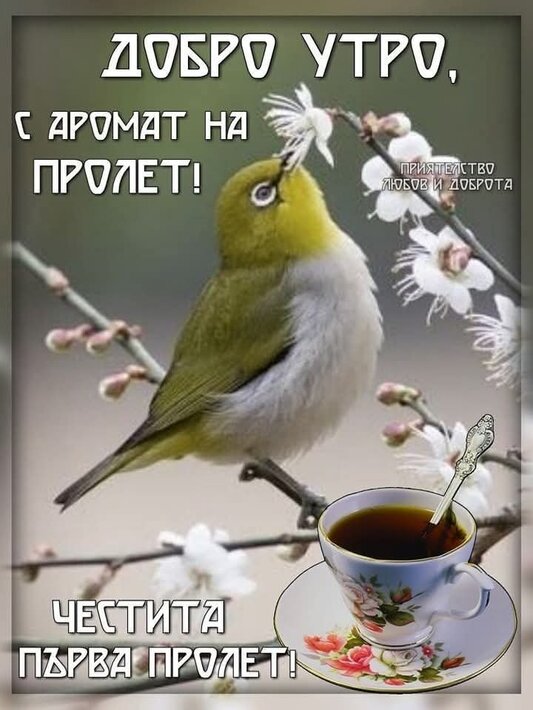 FB_IMG_1742424606863.jpg