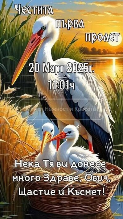 0-02-05-0365523e8989af0c7cbd9cd93313ffe9c5ad1f33fd4bc55108ce901f4b1ac892_d21101182f732f59.jpg