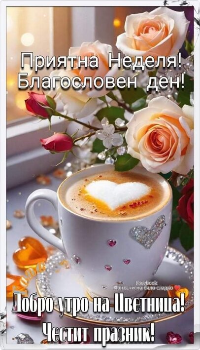 0-02-05-94ca6b8bd68d54957c7a63210585af53bbc5f1467b92d47d91b00ee05570ce4c_d8393b1fe37e2c7.jpg
